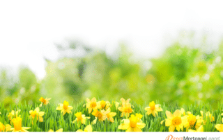 Spring Into Action