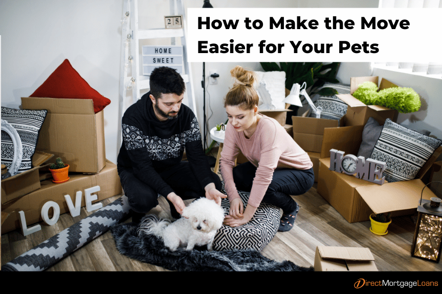 How to Make the Move Easier for Your Pets
