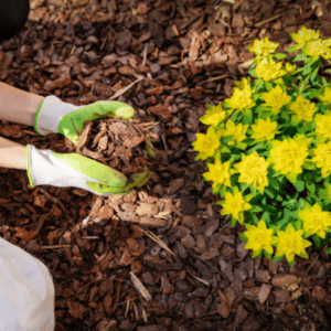 Mulch Yard Summer Home Maintenance Tip