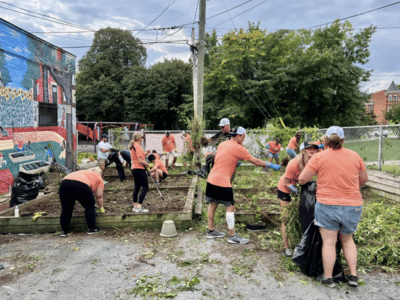 people working in garden