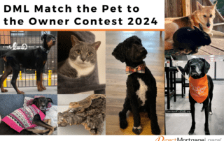 DML Match the Pet to the Owner Contest