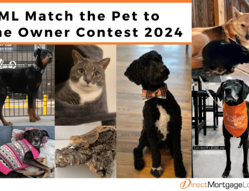 DML Match the Pet to the Owner Contest 2024