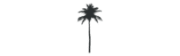 Coconut Club