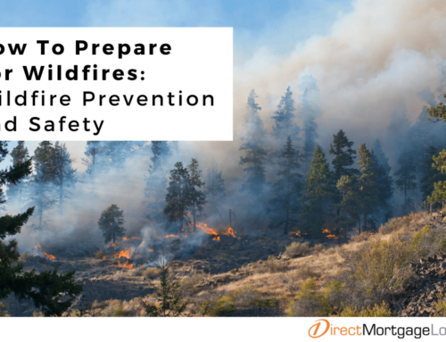 How To Prepare For Wildfires: Wildfire Prevention and Safety