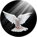 MSB profile picture