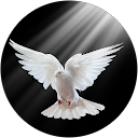 MSB profile picture